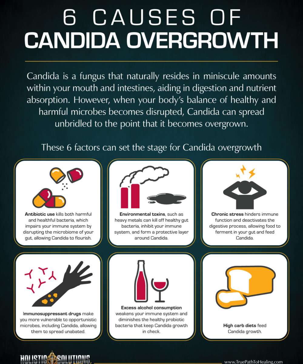 Infograph - 6 Causes of Candida Overgrowth-01
